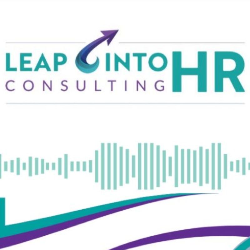 Unlocking Success in HR Consulting: Insights - HR Solve It Project
