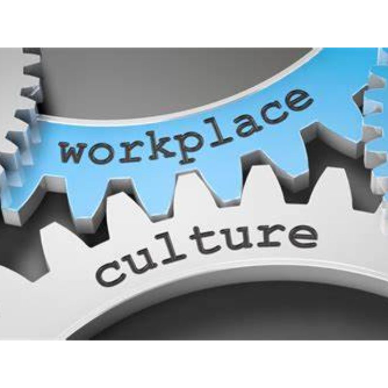 Strategic HR Guide for SMEs: Enhancing Your Business’s Culture - HR Solve It