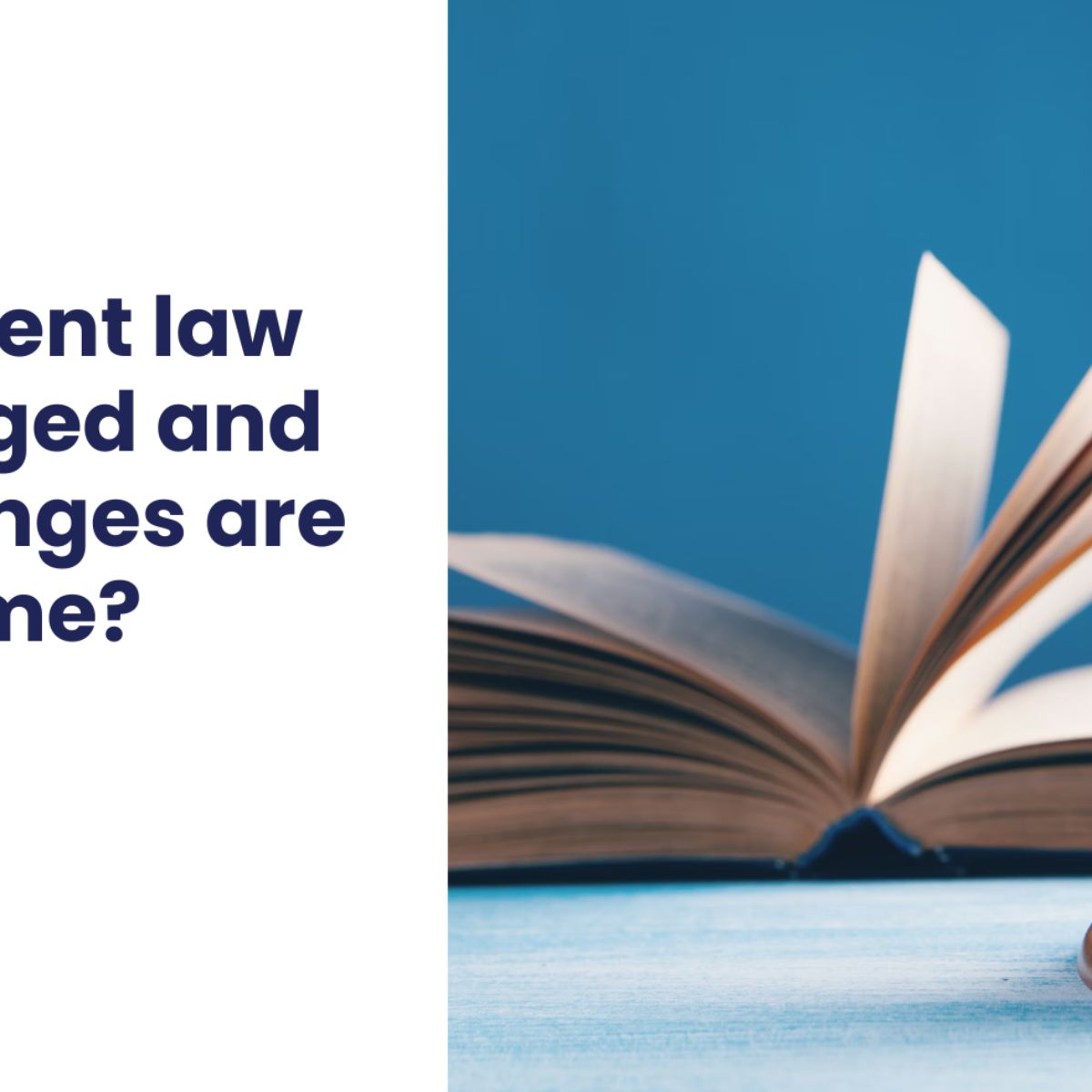 Employment law changes your business can't afford to miss - HR Solve It Project